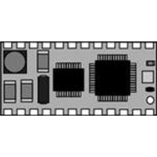 JS1-IC